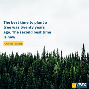 Tree Chinese Proverb