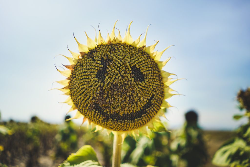 The Advantage of the Disadvantage: How to Use the Power of Reframing